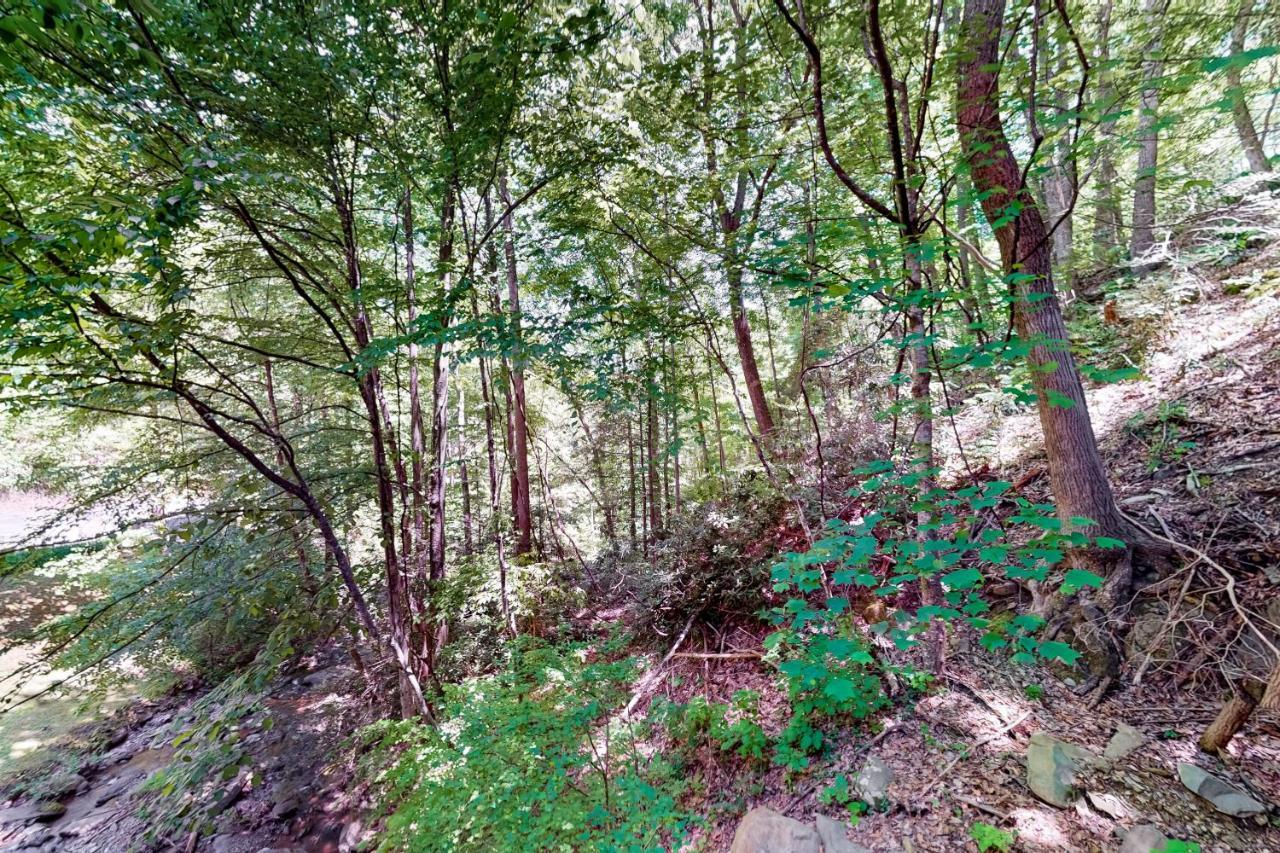 Hiker'S Hideaway Villa Gatlinburg Bilik gambar
